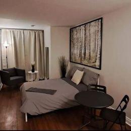 1 bedroom apartment for rent in Montreal - Rosemont–La Petite-Patrie — photo 8