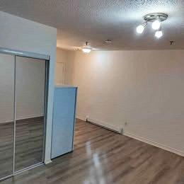Studio for rent in Québec - La Cité-Limoilou — photo 3