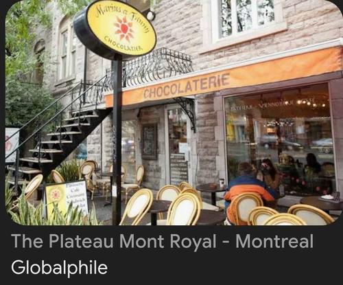 Studio for rent in Montreal - Le Plateau-Mont-Royal — photo 8