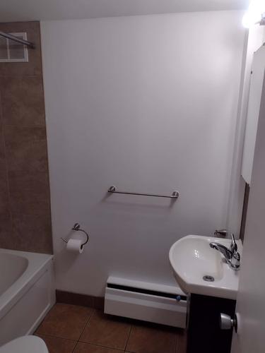 3 bedrooms apartment for rent in Montreal - Le Plateau-Mont-Royal — photo 26