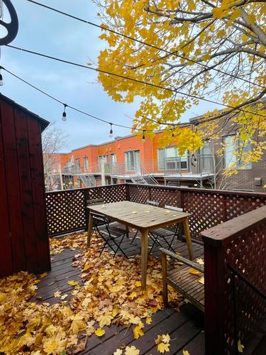 2 bedrooms apartment for rent in Montreal - Le Plateau-Mont-Royal — photo 2