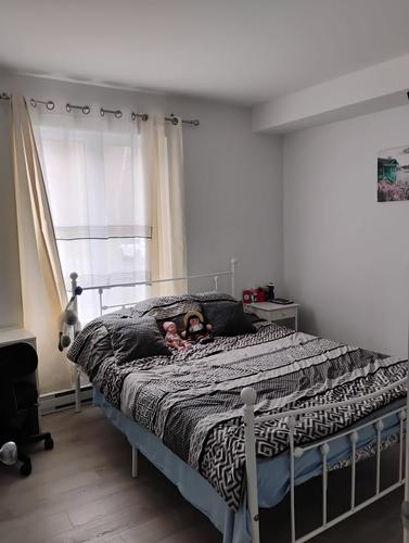 2 bedrooms apartment for rent in Lévis — photo 4