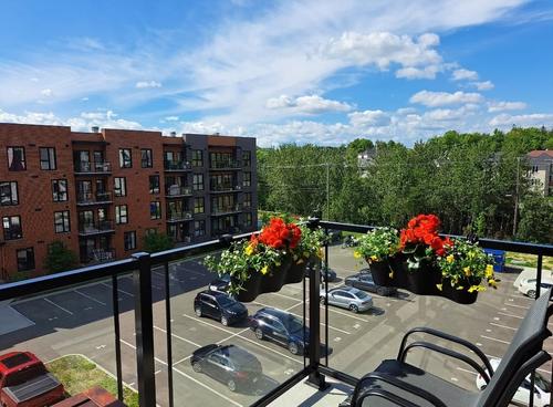 Appartement de 1 chambre à louer à Lévis — photo 2
