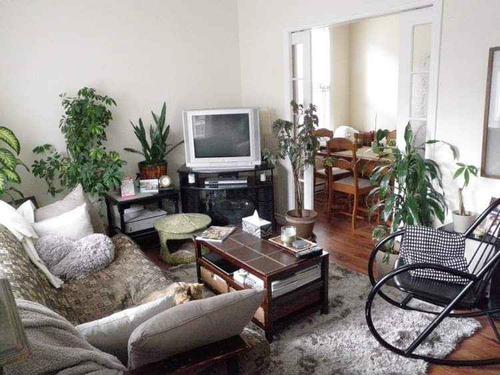 1 bedroom apartment for rent in Québec - La Cité-Limoilou — photo 5