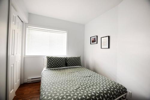 Appartement de 2 chambres à louer à Québec - La Cité-Limoilou — photo 14