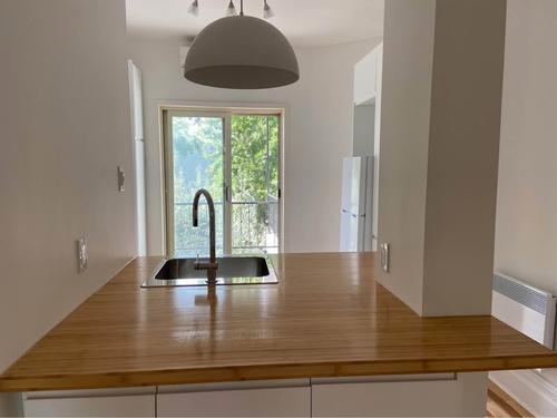 1 bedroom apartment for rent in Montreal - Le Plateau-Mont-Royal — photo 5