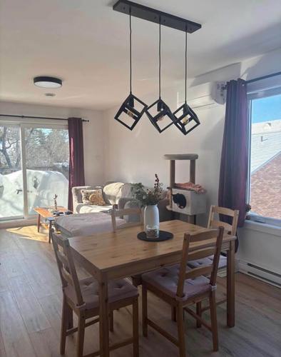2 bedrooms apartment for rent in Lévis — photo 6