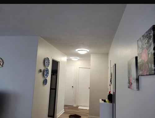 Appartement de 1 chambre à louer à Montréal — photo 2