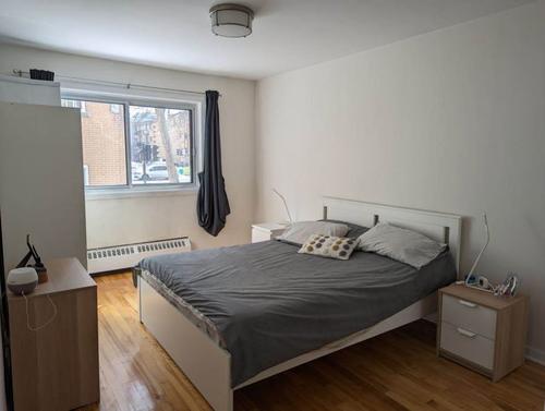 Appartement de 1 chambre à louer à Montreal - Rosemont–La Petite-Patrie — photo 4