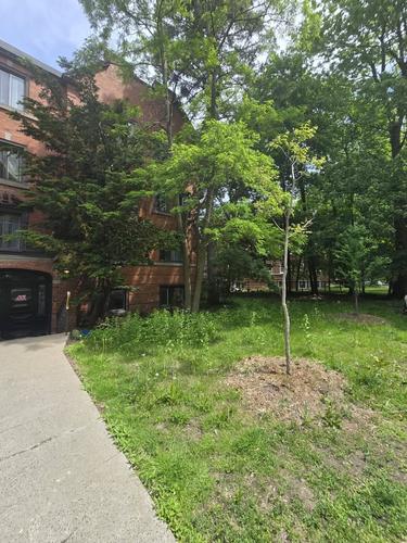 Studio for rent in Montreal - Côte-des-Neiges–Notre-Dame-de-Grâce — photo 11