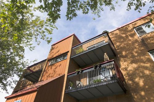 Appartement de 2 chambres à louer à Lévis — photo 2