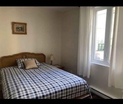 Appartement de 4 chambres à louer à Montreal - Le Plateau-Mont-Royal — photo 3