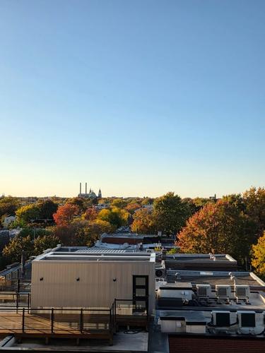 Appartement de 1 chambre à louer à Montreal - Le Plateau-Mont-Royal — photo 5