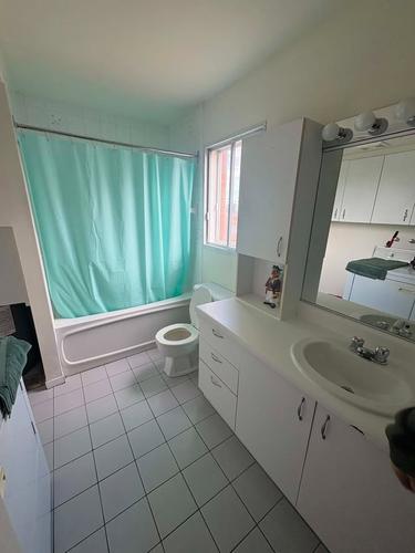 2 bedrooms apartment for rent in Lévis — photo 4