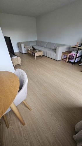 Appartement de 1 chambre à louer à Longueuil — photo 9