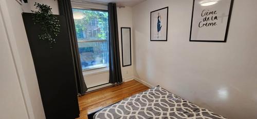 2 bedrooms apartment for rent in Montreal - Rosemont–La Petite-Patrie — photo 10