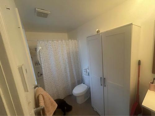 1 bedroom apartment for rent in Lévis — photo 3