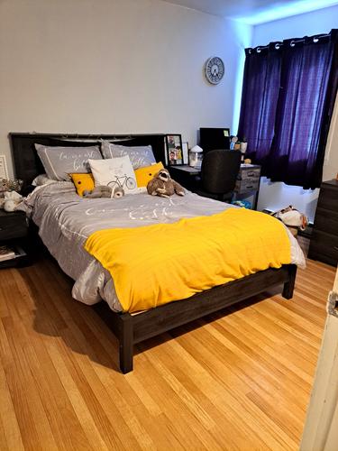Appartement de 1 chambre à louer à Lévis — photo 4