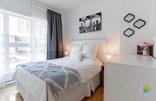 Appartement de 2 chambres à louer à Montreal - Le Plateau-Mont-Royal — photo 5