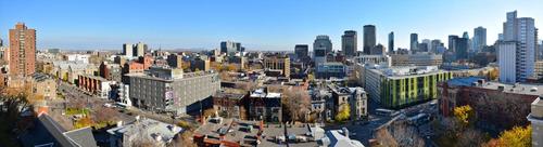 Appartement de 1 chambre à louer à Montreal - Le Plateau-Mont-Royal — photo 4