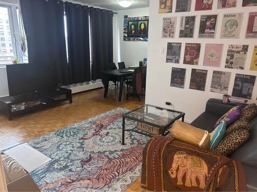 Appartement de 1 chambre à louer à Montreal - Le Plateau-Mont-Royal — photo 3