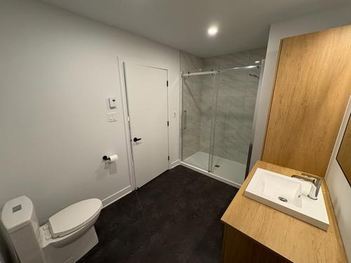 2 bedrooms apartment for rent in Longueuil — photo 18