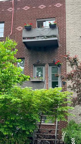 4 bedrooms apartment for rent in Montreal - Le Plateau-Mont-Royal — photo 3