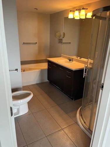 Appartement de 2 chambres à louer à Laval — photo 11