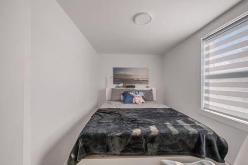 1 bedroom apartment for rent in Québec - La Cité-Limoilou — photo 5