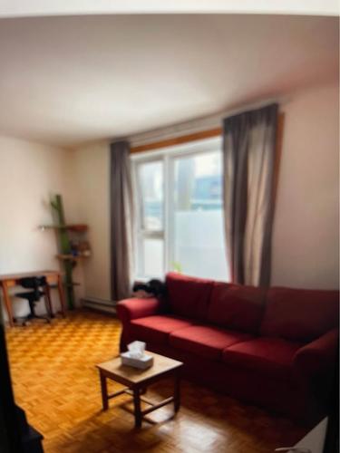 2 bedrooms apartment for rent in Montreal - Ville-Marie — photo 13