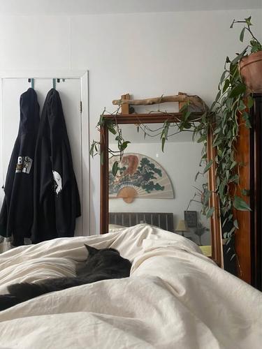 Appartement de 1 chambre à louer à Montreal - Le Plateau-Mont-Royal — photo 21