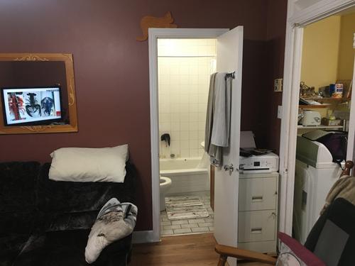 1 bedroom apartment for rent in Lévis — photo 12