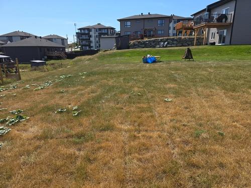 2 bedrooms apartment for rent in Sherbrooke — photo 16
