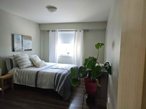 Appartement de 2 chambres à louer à Lévis — photo 10