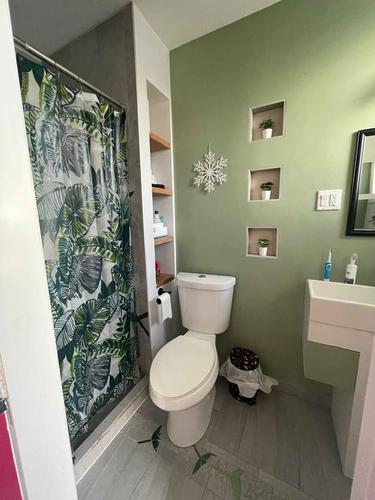 1 bedroom apartment for rent in Montreal - Rosemont–La Petite-Patrie — photo 3