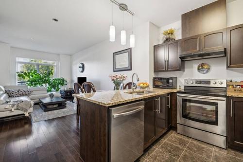 1 bedroom apartment for rent in Gatineau — photo 4