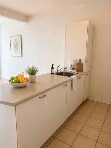 1 bedroom apartment for rent in Montreal - Le Sud-Ouest — photo 3