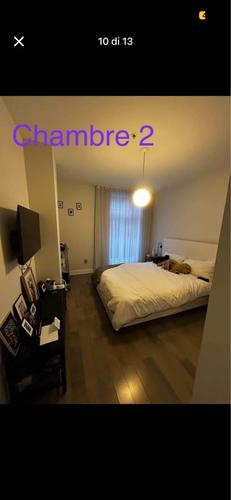 Appartement de 2 chambres à louer à Montreal - Le Plateau-Mont-Royal — photo 9