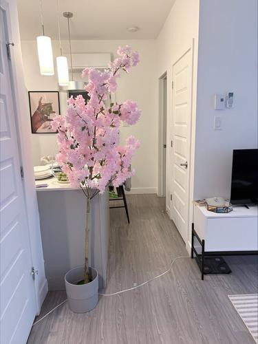 Appartement de 1 chambre à louer à Gatineau — photo 3