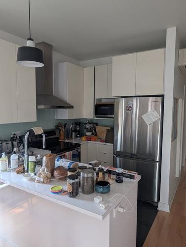 1 bedroom apartment for rent in Montreal - Rosemont–La Petite-Patrie — photo 3