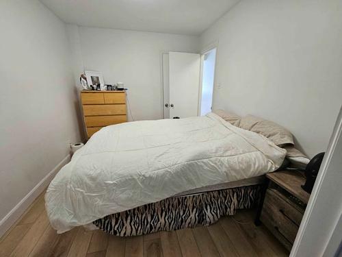 1 bedroom apartment for rent in Montreal - Le Plateau-Mont-Royal — photo 7