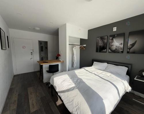 1 bedroom apartment for rent in Montreal - Le Plateau-Mont-Royal — photo 2
