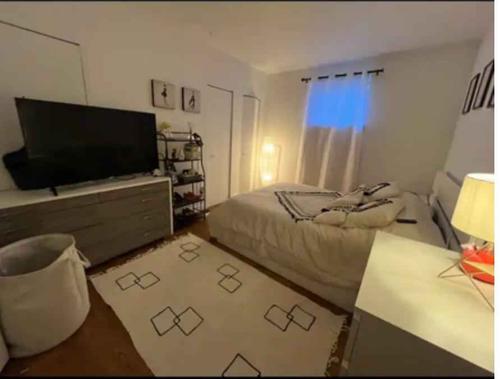 Appartement de 2 chambres à louer à Montreal - Le Plateau-Mont-Royal — photo 2