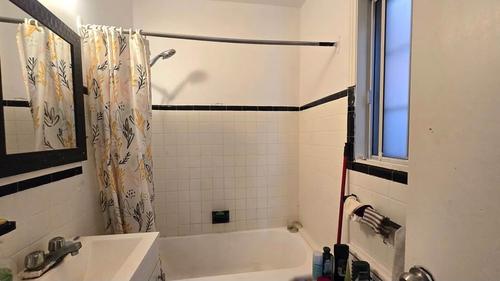 1 bedroom apartment for rent in Montreal - Le Plateau-Mont-Royal — photo 12