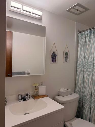 1 bedroom apartment for rent in Montreal - Rivière-des-Prairies–Pointe-aux-Trembles — photo 14