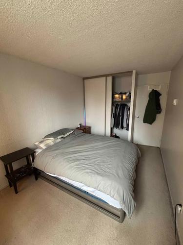 1 bedroom apartment for rent in Montreal - Le Plateau-Mont-Royal — photo 4
