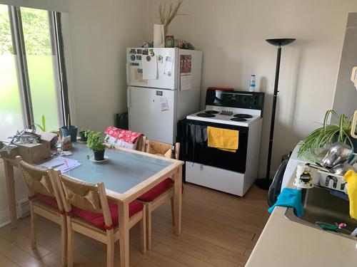 1 bedroom apartment for rent in Montreal - Villeray–Saint-Michel–Parc-Extension — photo 5
