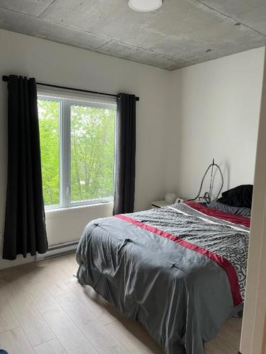 Appartement de 2 chambres à louer à Lévis — photo 4