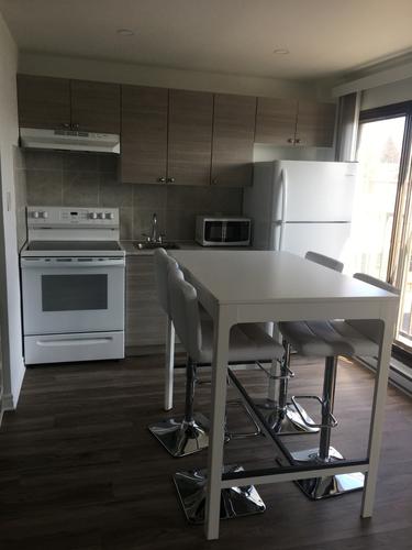 Studio à louer à Montreal - Villeray–Saint-Michel–Parc-Extension — photo 6