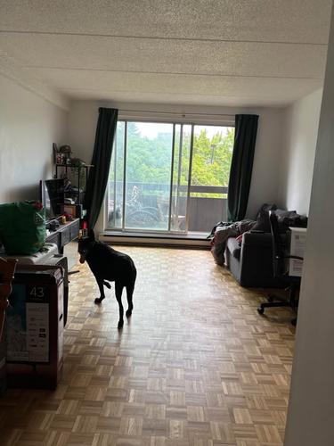 Appartement de 1 chambre à louer à Longueuil — photo 2